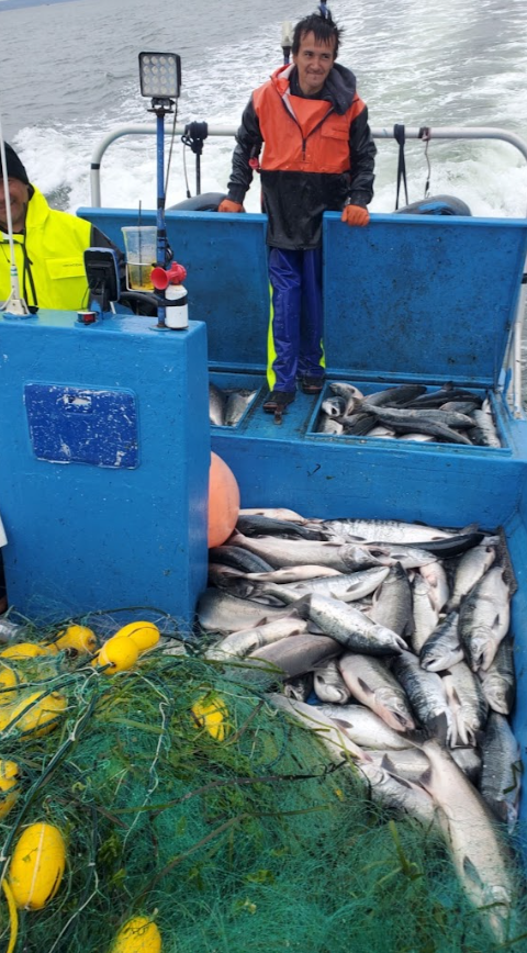 Fishing boat with fresh catch